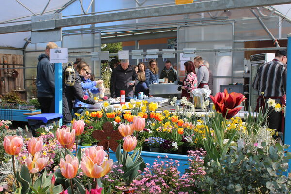 Auch Blumen gab es am Verkaufsoffenen Sonntag. Foto: Zachmann